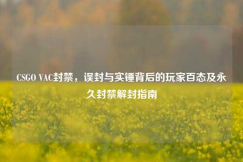 CSGO VAC封禁，误封与实锤背后的玩家百态及永久封禁解封指南