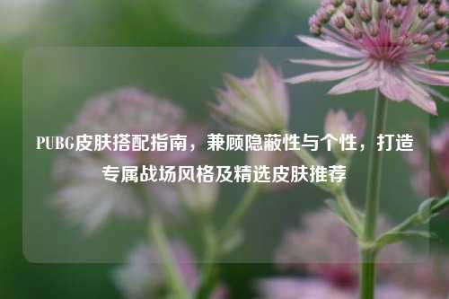 PUBG皮肤搭配指南，兼顾隐蔽性与个性，打造专属战场风格及精选皮肤推荐