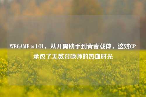 WEGAME×LOL，从开黑助手到青春载体，这对CP承包了无数召唤师的热血时光