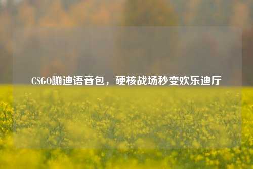 CSGO蹦迪语音包，硬核战场秒变欢乐迪厅