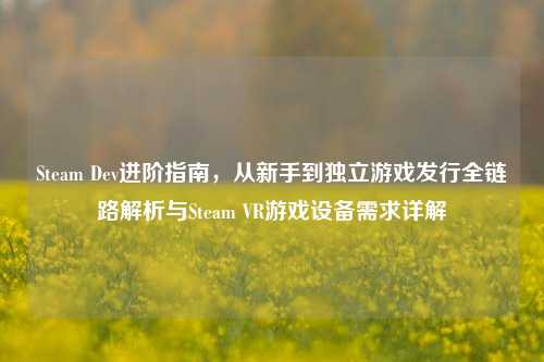 Steam Dev进阶指南，从新手到独立游戏发行全链路解析与Steam VR游戏设备需求详解