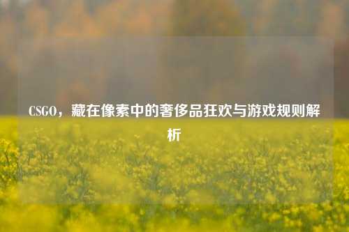 CSGO，藏在像素中的奢侈品狂欢与游戏规则解析