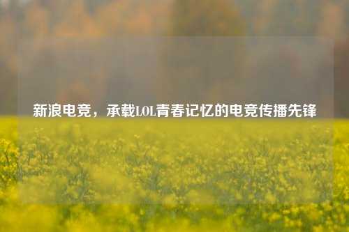 新浪电竞，承载LOL青春记忆的电竞传播先锋