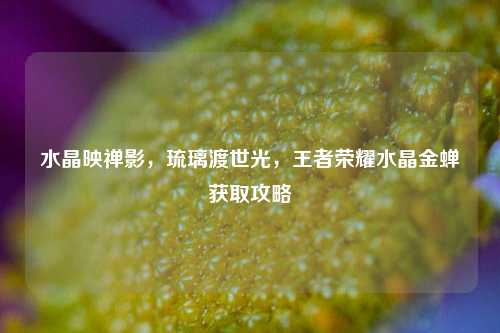 水晶映禅影，琉璃渡世光，王者荣耀水晶金蝉获取攻略
