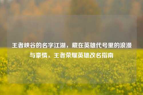 王者峡谷的名字江湖，藏在英雄代号里的浪漫与豪情，王者荣耀英雄改名指南