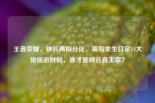 王者荣耀，峡谷两极分化，菜鸟求生日常VS大佬统治时刻，谁才是峡谷真主宰？