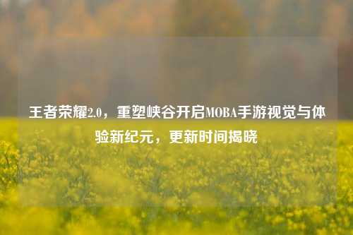 王者荣耀2.0，重塑峡谷开启MOBA手游视觉与体验新纪元，更新时间揭晓
