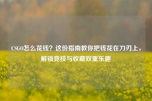 CSGO怎么花钱?这份指南教你把钱花在刀刃上,解锁竞技与收藏双重乐趣