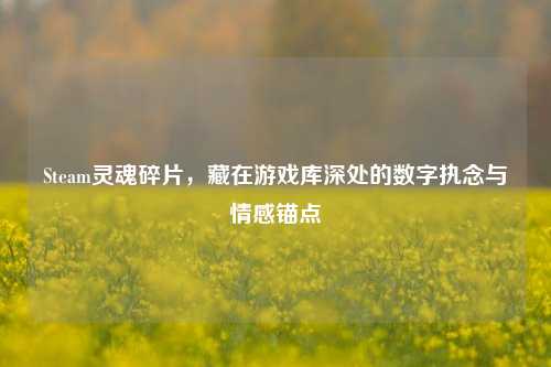 Steam灵魂碎片,藏在游戏库深处的数字执念与情感锚点