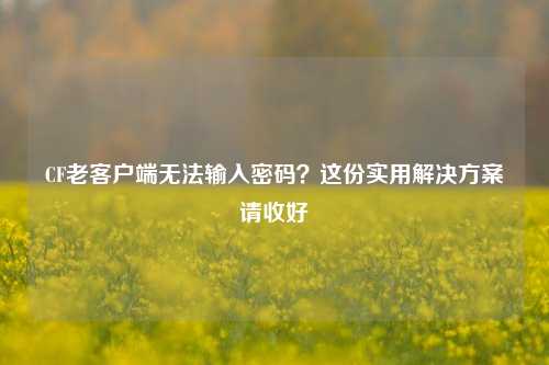 CF老客户端无法输入密码？这份实用解决方案请收好
