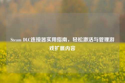 Steam DLC连接器实用指南,轻松激活与管理游戏扩展内容