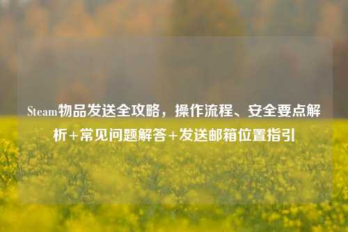 Steam物品发送全攻略,操作流程、安全要点解析+常见问题解答+发送邮箱位置指引