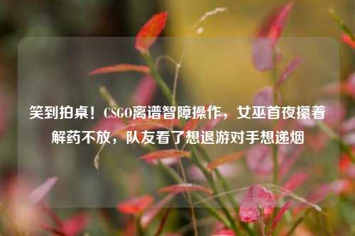 笑到拍桌!CSGO离谱智障操作,女巫首夜攥着解药不放,队友看了想退游对手想递烟