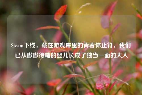 Steam下线,藏在游戏库里的青春休止符,我们已从嗷嗷待哺的婴儿长成了独当一面的大人