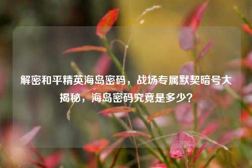 解密和平精英海岛密码,战场专属默契暗号大揭秘,海岛密码究竟是多少?