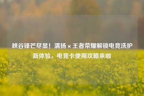 峡谷锋芒尽显！清扬×王者荣耀解锁电竞洗护新体验，电竞卡使用攻略来啦