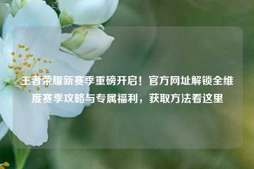 王者荣耀新赛季重磅开启!官方网址解锁全维度赛季攻略与专属福利,获取方法看这里