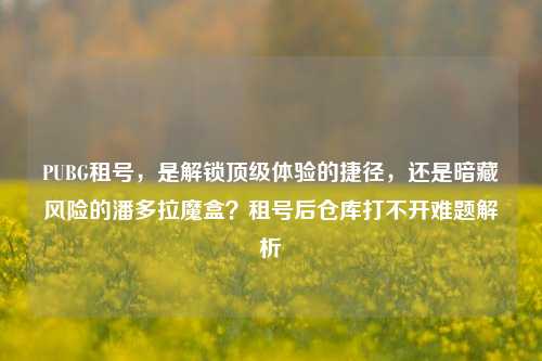 PUBG租号，是解锁顶级体验的捷径，还是暗藏风险的潘多拉魔盒？租号后仓库打不开难题解析