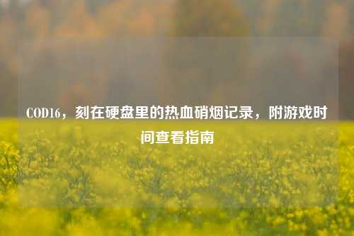 COD16,刻在硬盘里的热血硝烟记录,附游戏时间查看指南