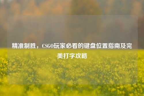 精准制胜,CSGO玩家必看的键盘位置指南及完美打字攻略