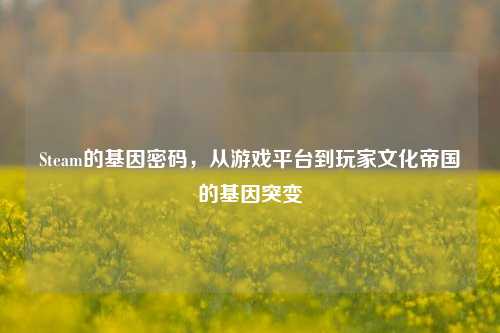 Steam的基因密码,从游戏平台到玩家文化帝国的基因突变