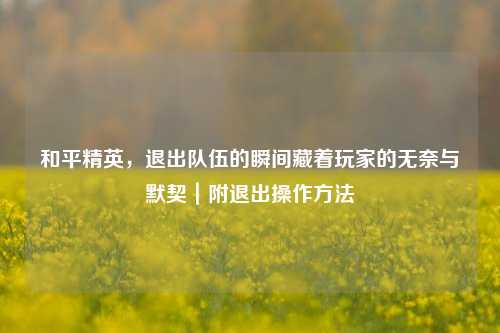和平精英，退出队伍的瞬间藏着玩家的无奈与默契｜附退出操作方法