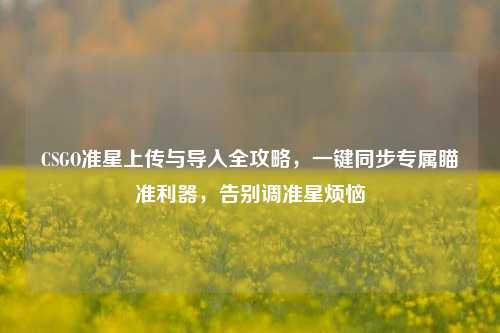 CSGO准星上传与导入全攻略,一键同步专属瞄准利器,告别调准星烦恼