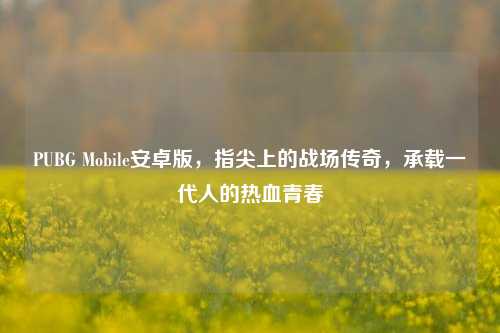 PUBG Mobile安卓版,指尖上的战场传奇,承载一代人的热血青春