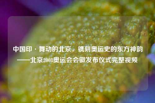 中国印·舞动的北京,镌刻奥运史的东方神韵——北京2008奥运会会徽发布仪式完整视频