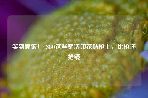 笑到喷饭!CSGO这些整活印花贴枪上,比枪还抢镜