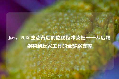 Java,PUBG生态背后的隐秘技术支柱——从后端架构到玩家工具的全链路支撑