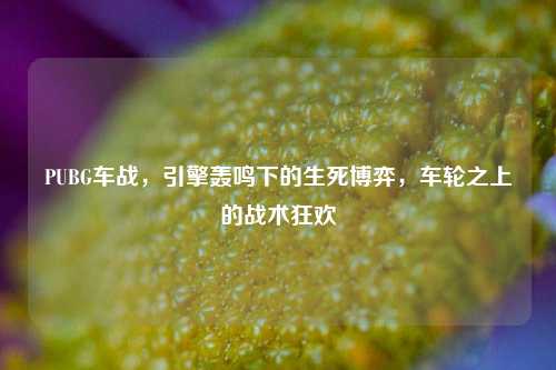PUBG车战,引擎轰鸣下的生死博弈,车轮之上的战术狂欢