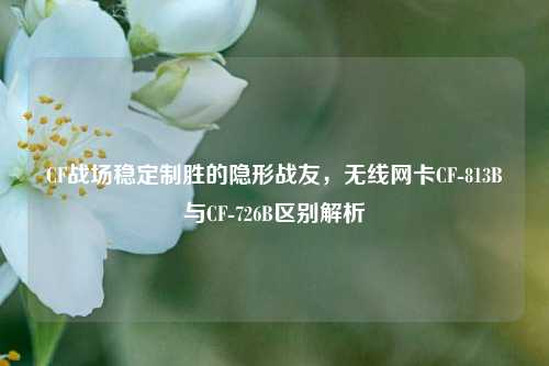 CF战场稳定制胜的隐形战友，无线网卡CF-813B与CF-726B区别解析