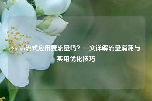 Steam流式应用费流量吗?一文详解流量消耗与实用优化技巧