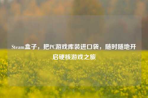 Steam盒子,把PC游戏库装进口袋,随时随地开启硬核游戏之旅
