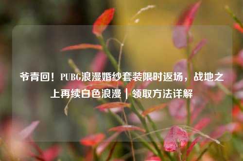 爷青回!PUBG浪漫婚纱套装限时返场,战地之上再续白色浪漫|领取方法详解