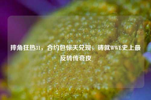 摔角狂热31,合约包惊天兑现,铸就WWE史上最反转传奇夜