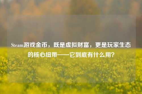 Steam游戏金币，既是虚拟财富，更是玩家生态的核心纽带——它到底有什么用？