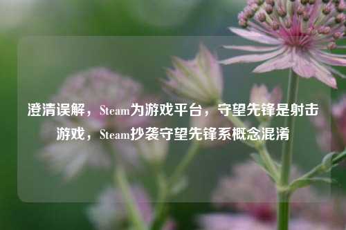 澄清误解，Steam为游戏平台，守望先锋是射击游戏，Steam抄袭守望先锋系概念混淆
