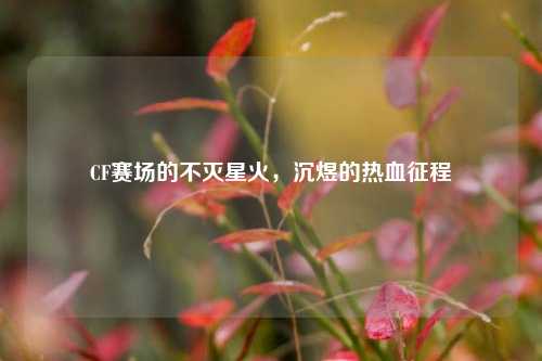 CF赛场的不灭星火，沉煜的热血征程