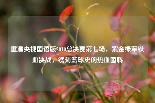 重温央视国语版2010总决赛第七场，紫金绿军铁血决战，镌刻篮球史的热血图腾