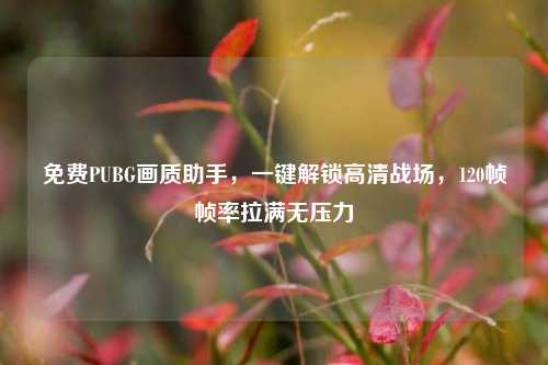 免费PUBG画质助手，一键解锁高清战场，120帧帧率拉满无压力