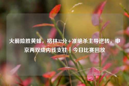 火箭险胜黄蜂,格林32分+准绝杀主导逆转,申京两双成内线支柱|今日比赛回放