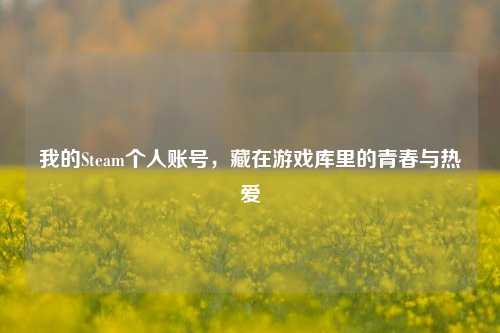 我的Steam个人账号,藏在游戏库里的青春与热爱