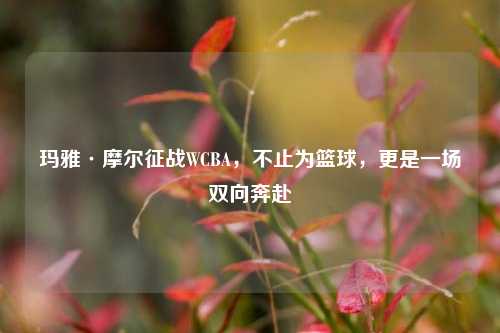 玛雅·摩尔征战WCBA,不止为篮球,更是一场双向奔赴