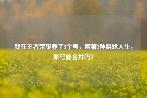 我在王者荣耀养了3个号,藏着3种游戏人生,账号能合并吗?