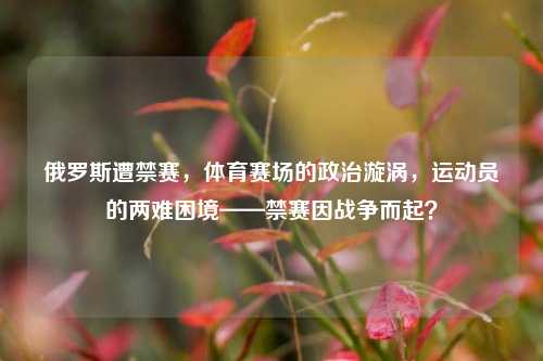 俄罗斯遭禁赛，体育赛场的政治漩涡，运动员的两难困境——禁赛因战争而起？