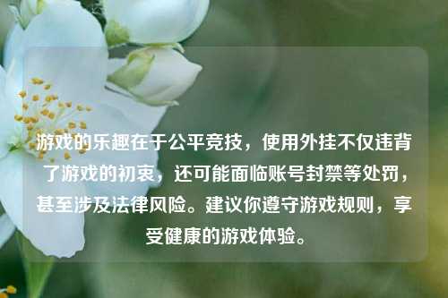 游戏的乐趣在于公平竞技，使用外挂不仅违背了游戏的初衷，还可能面临账号封禁等处罚，甚至涉及法律风险。建议你遵守游戏规则，享受健康的游戏体验。