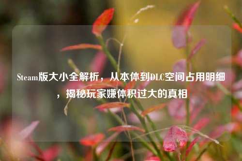 Steam版大小全解析，从本体到DLC空间占用明细，揭秘玩家嫌体积过大的真相