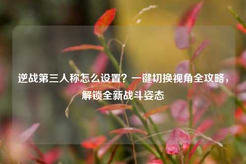 逆战第三人称怎么设置?一键切换视角全攻略,解锁全新战斗姿态